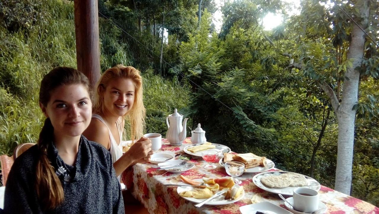 Daban Homestay Ella Bagian luar foto