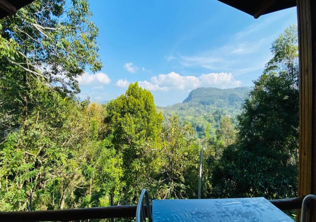 Daban Homestay Ella Bagian luar foto